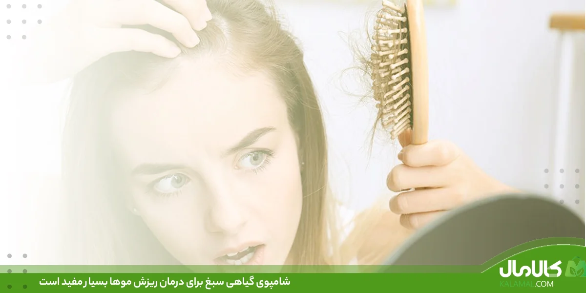 کسب و کار ایرانی