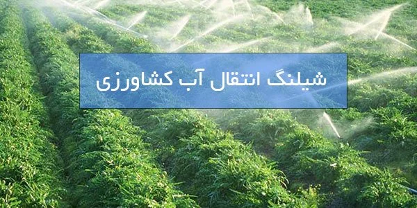 کشاورزی کشاورزی
