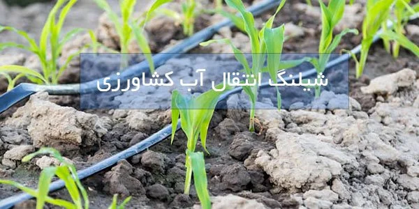 کسب و کار ایرانی