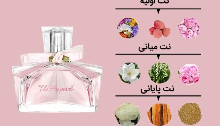 کسب و کار ایرانی