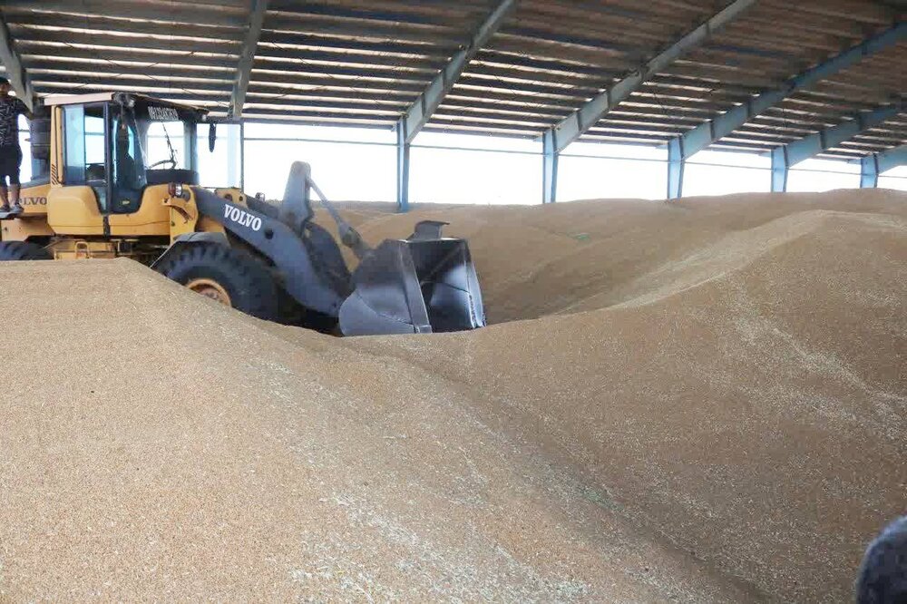بروجرد قابلیت ذخیره‌سازی حدود ۵۰ هزار تن گندم را دارد