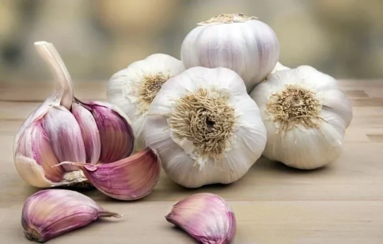سیر سیاه برای کیست تخمدان