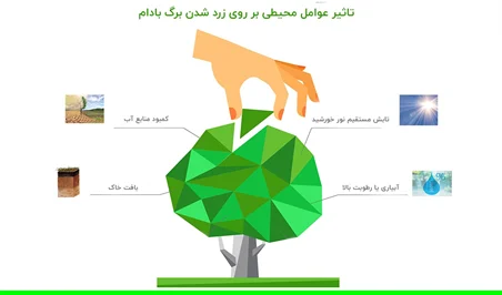 کسب و کار ایرانی