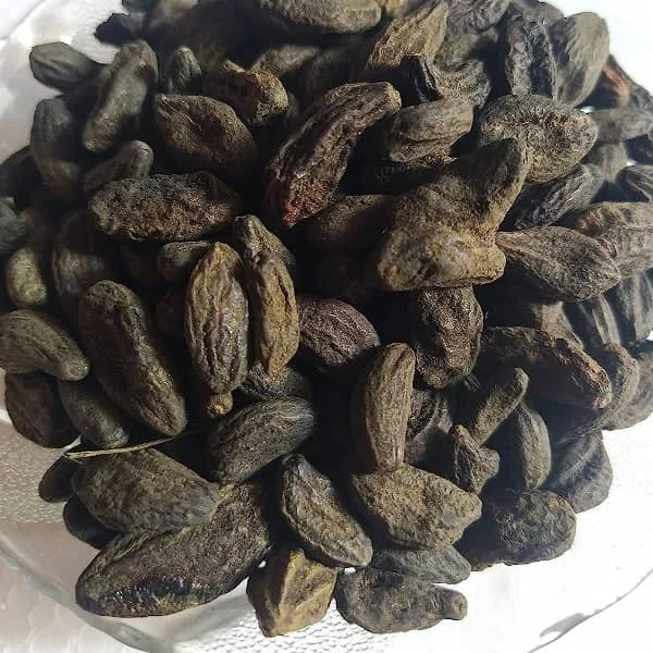 کسب و کار ایرانی