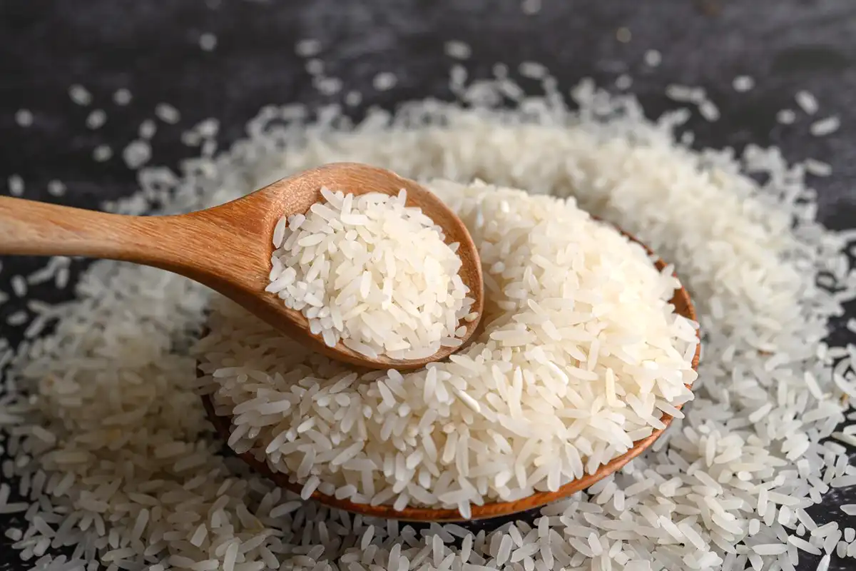 بهترین روش برای نگهداری برنج خشک |روش نگهداری برنج در انبار |روش نگهداری برنج هاشمی