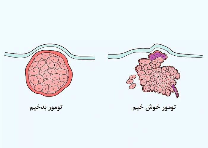 کسب و کار ایرانی