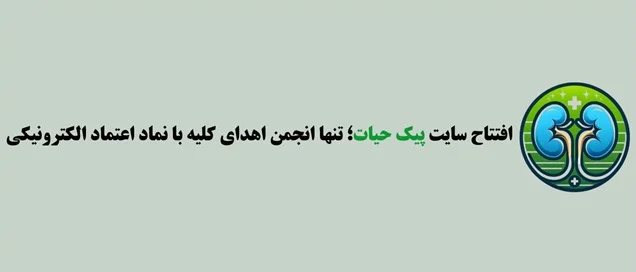 کسب و کار ایرانی