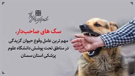 سگ های صاحب‌دار، مهم ترین عامل وقوع حیوان گزیدگی در مناطق تحت پوشش دانشگاه استان سمنان