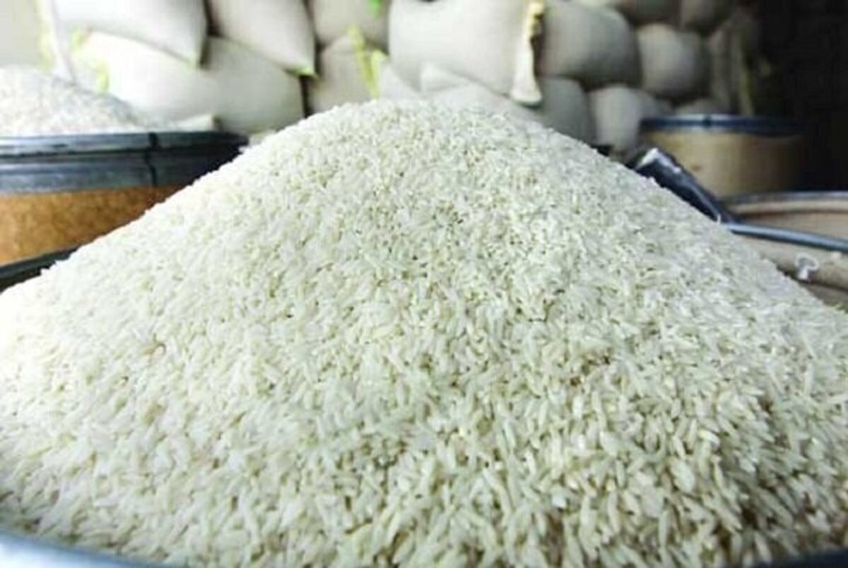 ضرورت بازنگری در سیاست های تامین بازار برنج - خبرگزاری مهر | اخبار ایران و جهان