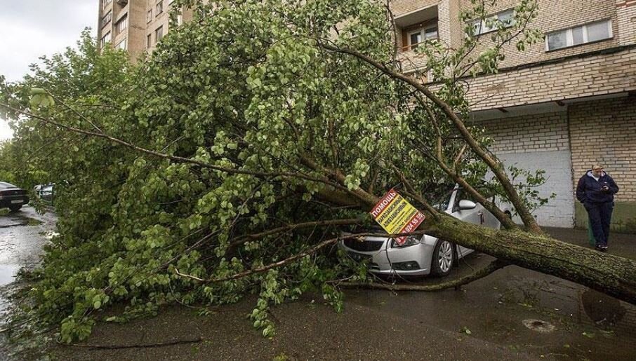 طوفان و رگبار شدید در مسکو؛ ۲۰ تن کشته و زخمی شدند+فیلم