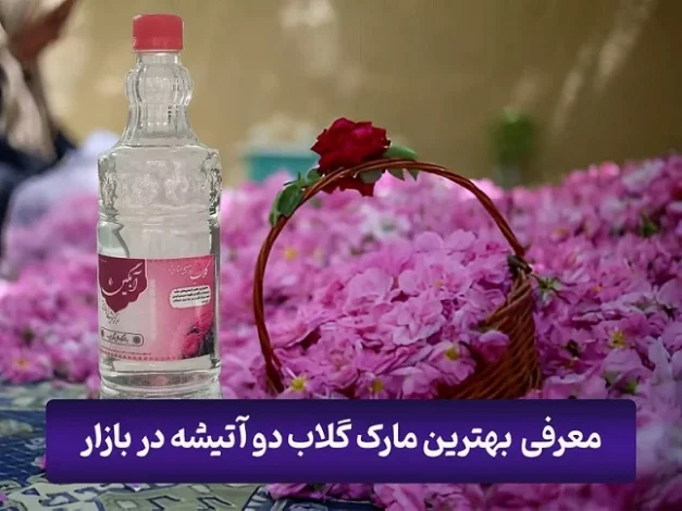 گل |گلاب