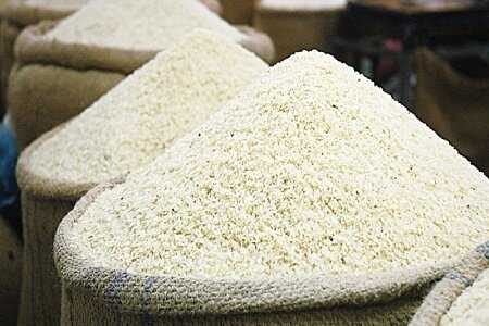 واردات برنج را به کمتر از یک میلیون تن می رسانیم