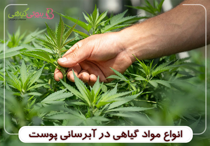 پوست |طب سنتی