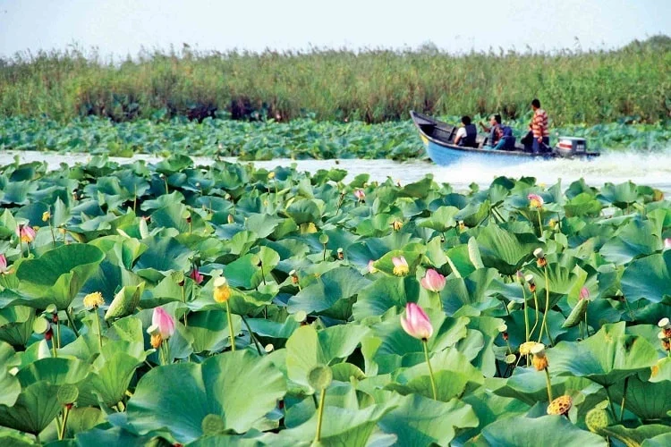 جاهای دیدنی جاهای دیدنی
