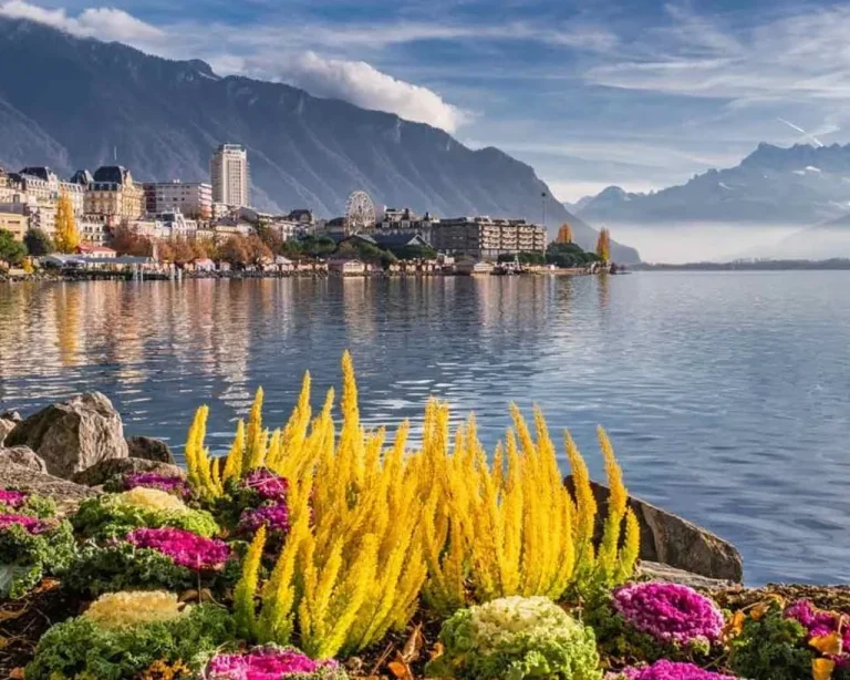  کثیف ترین و تمیزترین کشورهای جهان برای گردشگری و مهاجرت