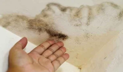 تشخیص نشتی لوله آب از بوی نم و کپک زدگی