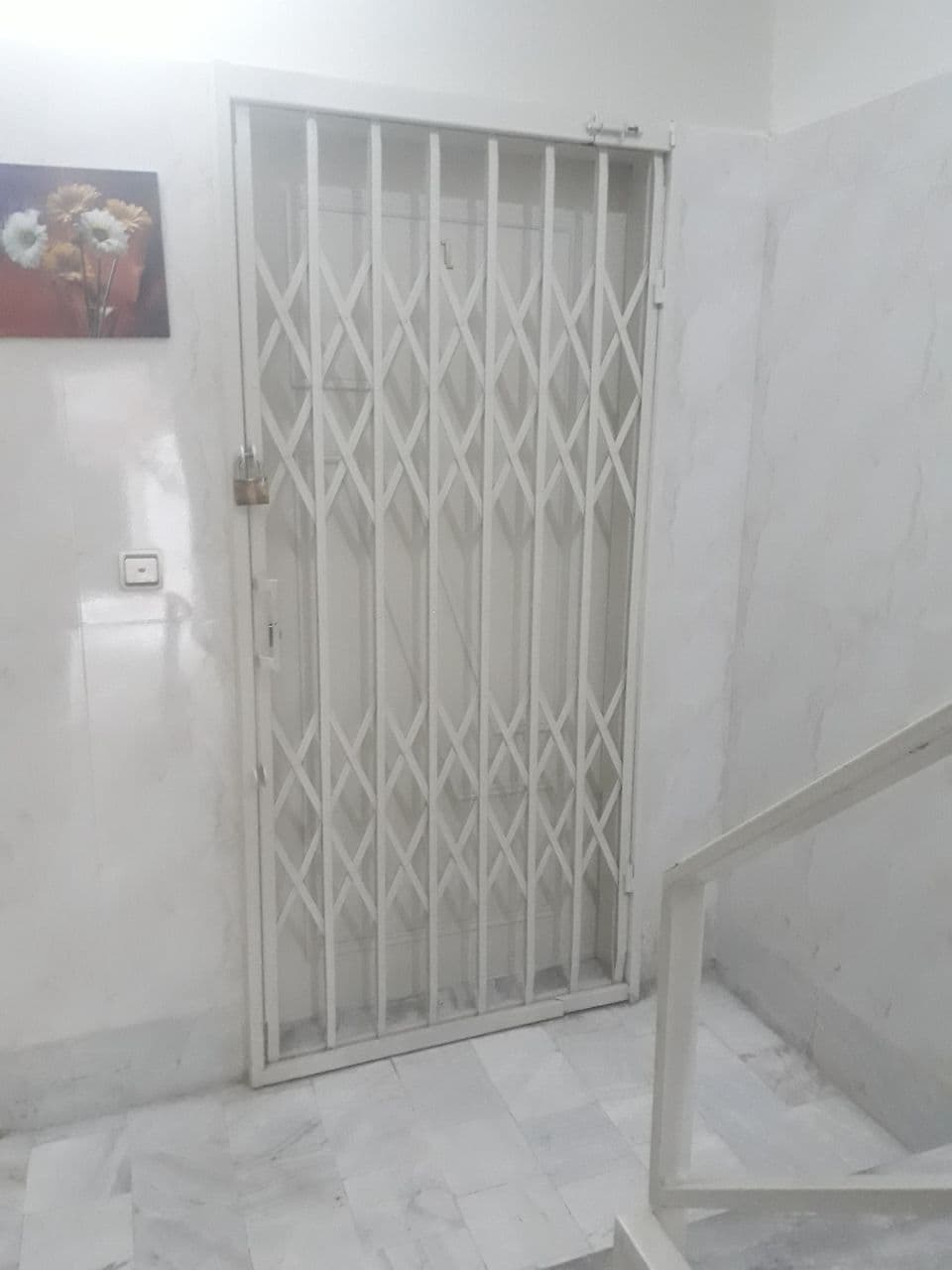 آکاردئونی